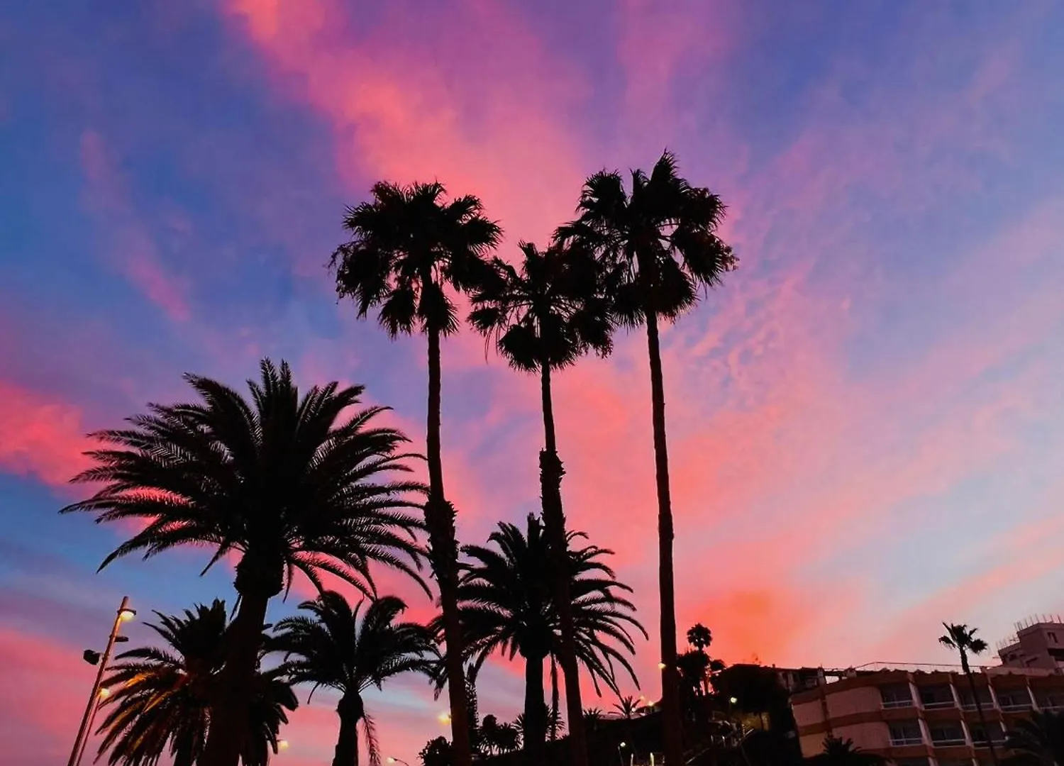Bed & Breakfast Casa Ohana Maspalomas